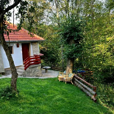 公寓 Sumarak Weekend House 阿然德洛维克